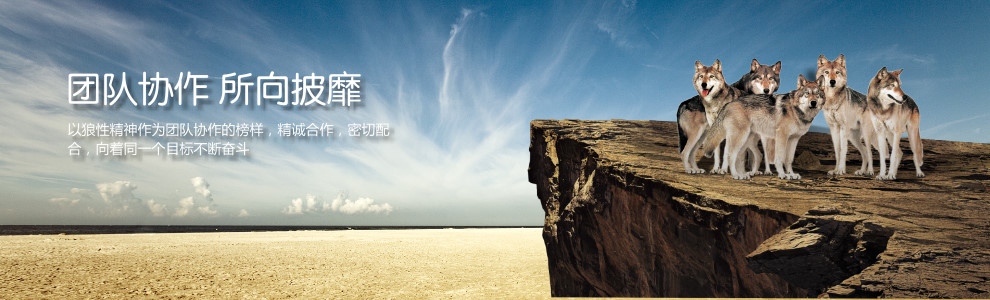 焦點(diǎn)圖說(shuō)明文字，顯示于圖片的alt標(biāo)簽